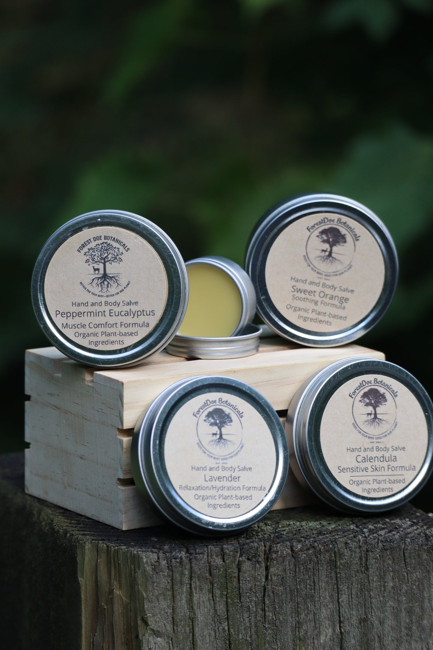 Gift Set of 4 Salves (2 oz ea)