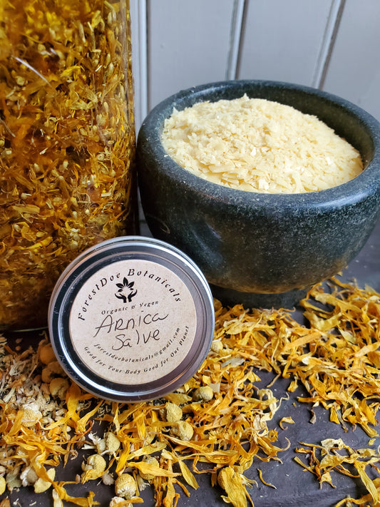 Salve | Arnica Wintergreen
