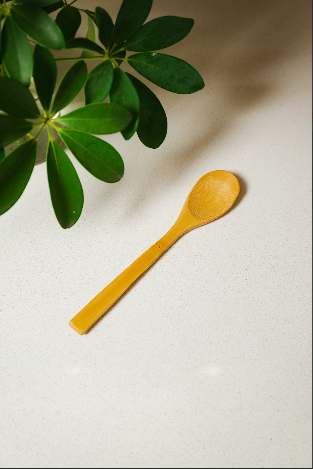 Spoon | Bamboo