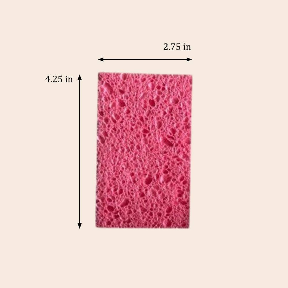 Compostable Cellulose Kitchen Sponge | White