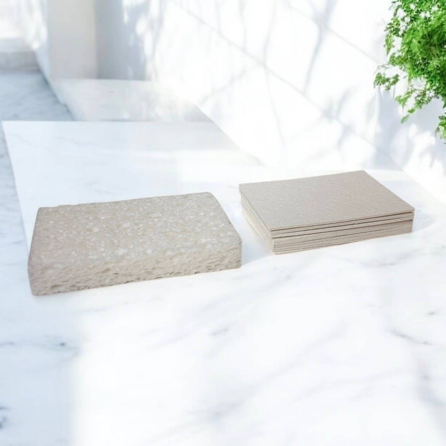 Compostable Cellulose Kitchen Sponge | White