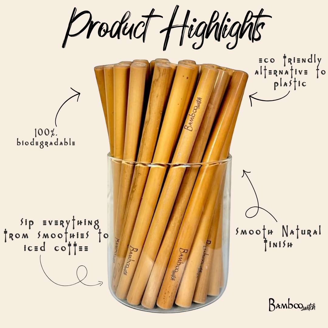 Straws | Travel | Bamboo