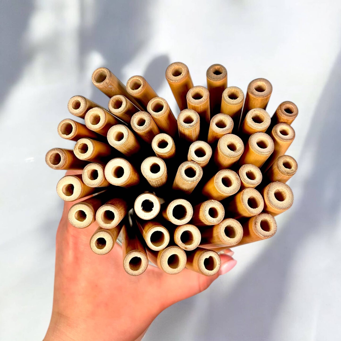 Straws | Travel | Bamboo